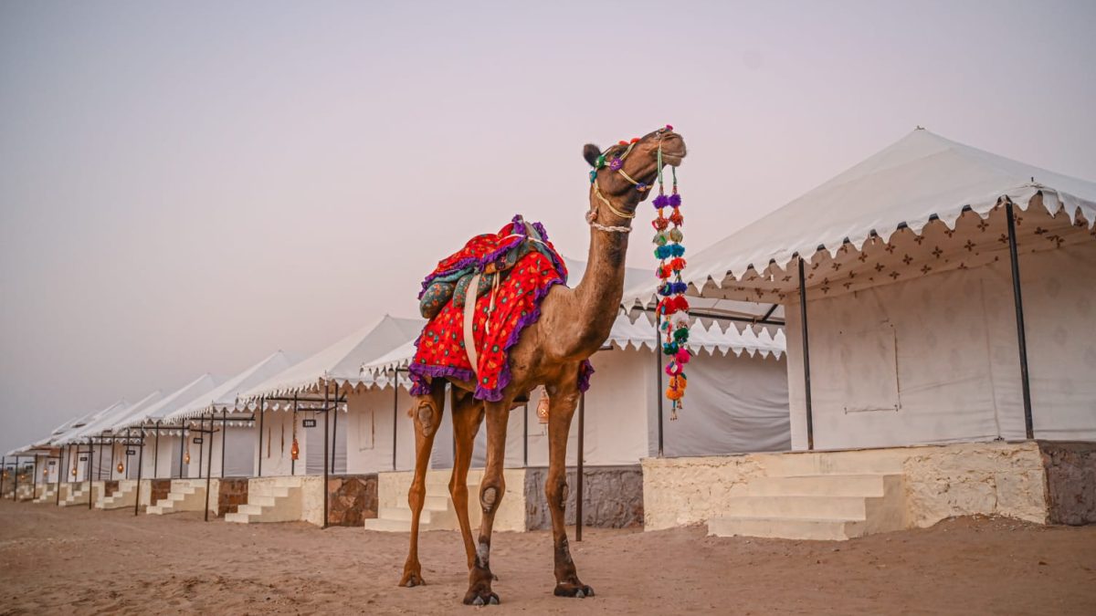 jaisalmer camel safari: a journey to remember